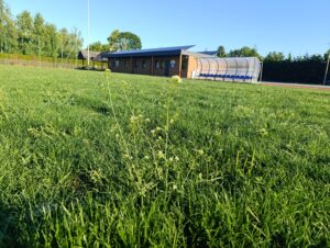 IMG_20250703_062520